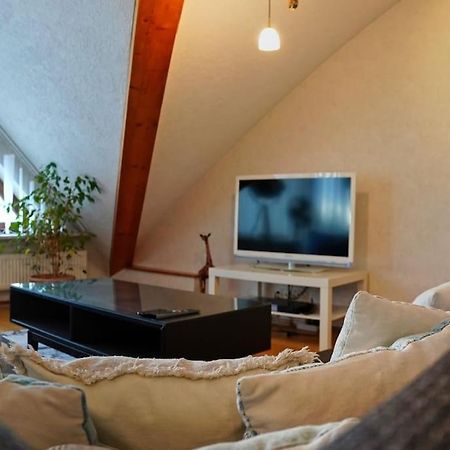 Grosse, Helle Wohnung Fuer Bis Zu 6 Personen Weinheim Zewnętrze zdjęcie
